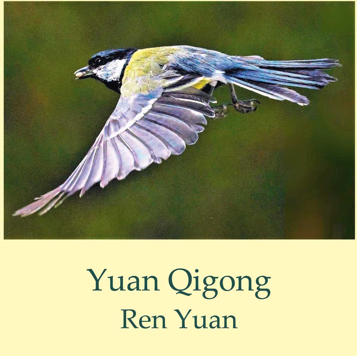 Yuan Qigong Ren Yuan 